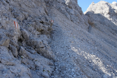 44