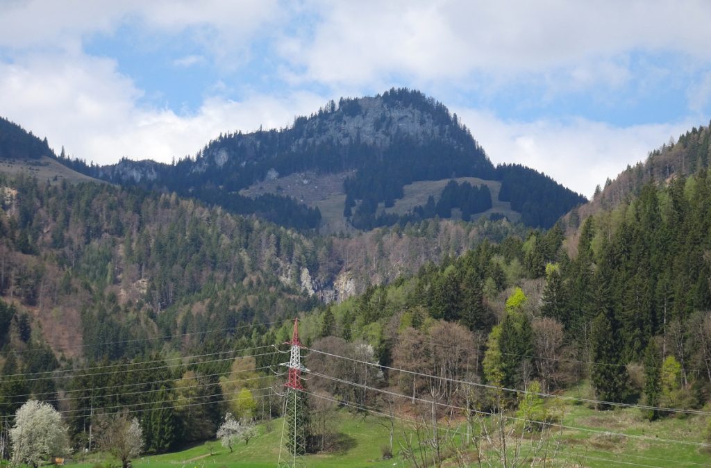 Leistenstein 1480m